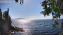 ./images/koeye/fitz-hugh/20250821/fitz-hugh20250821_161009M.jpg