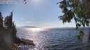 ./images/koeye/fitz-hugh/20250821/fitz-hugh20250821_161510M.jpg