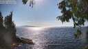 ./images/koeye/fitz-hugh/20250821/fitz-hugh20250821_162514M.jpg
