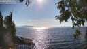 ./images/koeye/fitz-hugh/20250821/fitz-hugh20250821_164512M.jpg