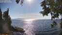 ./images/koeye/fitz-hugh/20250821/fitz-hugh20250821_165010M.jpg
