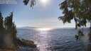./images/koeye/fitz-hugh/20250821/fitz-hugh20250821_165510M.jpg