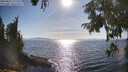 ./images/koeye/fitz-hugh/20250821/fitz-hugh20250821_171510M.jpg