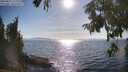 ./images/koeye/fitz-hugh/20250821/fitz-hugh20250821_172011M.jpg