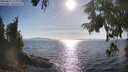 ./images/koeye/fitz-hugh/20250821/fitz-hugh20250821_173011M.jpg
