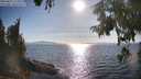 ./images/koeye/fitz-hugh/20250821/fitz-hugh20250821_173510M.jpg