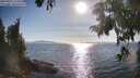 ./images/koeye/fitz-hugh/20250821/fitz-hugh20250821_174511M.jpg