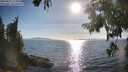 ./images/koeye/fitz-hugh/20250821/fitz-hugh20250821_175011M.jpg