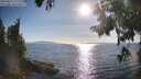 ./images/koeye/fitz-hugh/20250821/fitz-hugh20250821_175510M.jpg