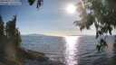 ./images/koeye/fitz-hugh/20250821/fitz-hugh20250821_180012M.jpg