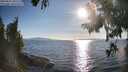 ./images/koeye/fitz-hugh/20250821/fitz-hugh20250821_181510M.jpg