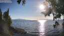 ./images/koeye/fitz-hugh/20250821/fitz-hugh20250821_182011M.jpg