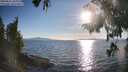 ./images/koeye/fitz-hugh/20250821/fitz-hugh20250821_183011M.jpg