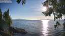 ./images/koeye/fitz-hugh/20250821/fitz-hugh20250821_184011M.jpg