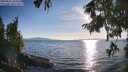 ./images/koeye/fitz-hugh/20250821/fitz-hugh20250821_184511M.jpg