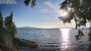 ./images/koeye/fitz-hugh/20250821/fitz-hugh20250821_185010M.jpg