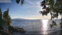 ./images/koeye/fitz-hugh/20250821/fitz-hugh20250821_185509M.jpg
