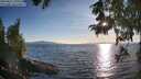./images/koeye/fitz-hugh/20250821/fitz-hugh20250821_190509M.jpg