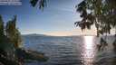 ./images/koeye/fitz-hugh/20250821/fitz-hugh20250821_191509M.jpg