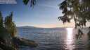 ./images/koeye/fitz-hugh/20250821/fitz-hugh20250821_192010M.jpg