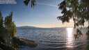 ./images/koeye/fitz-hugh/20250821/fitz-hugh20250821_192511M.jpg