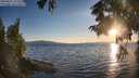 ./images/koeye/fitz-hugh/20250821/fitz-hugh20250821_194509M.jpg