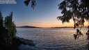 ./images/koeye/fitz-hugh/20250821/fitz-hugh20250821_210010M.jpg