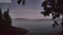 ./images/koeye/fitz-hugh/20250822/fitz-hugh20250822_055010M.jpg