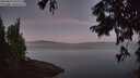 ./images/koeye/fitz-hugh/20250822/fitz-hugh20250822_055508M.jpg