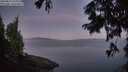 ./images/koeye/fitz-hugh/20250822/fitz-hugh20250822_060011M.jpg