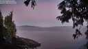 ./images/koeye/fitz-hugh/20250822/fitz-hugh20250822_061011M.jpg