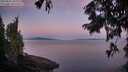./images/koeye/fitz-hugh/20250822/fitz-hugh20250822_062009M.jpg