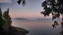 ./images/koeye/fitz-hugh/20250822/fitz-hugh20250822_062514M.jpg