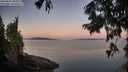 ./images/koeye/fitz-hugh/20250822/fitz-hugh20250822_063010M.jpg