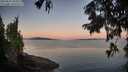 ./images/koeye/fitz-hugh/20250822/fitz-hugh20250822_063510M.jpg