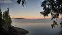 ./images/koeye/fitz-hugh/20250822/fitz-hugh20250822_064011M.jpg