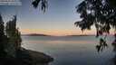 ./images/koeye/fitz-hugh/20250822/fitz-hugh20250822_064510M.jpg