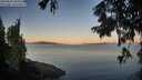 ./images/koeye/fitz-hugh/20250822/fitz-hugh20250822_065009M.jpg