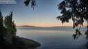 ./images/koeye/fitz-hugh/20250822/fitz-hugh20250822_065511M.jpg
