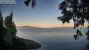 ./images/koeye/fitz-hugh/20250822/fitz-hugh20250822_070009M.jpg