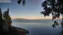 ./images/koeye/fitz-hugh/20250822/fitz-hugh20250822_071011M.jpg