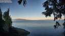 ./images/koeye/fitz-hugh/20250822/fitz-hugh20250822_073011M.jpg