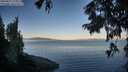 ./images/koeye/fitz-hugh/20250822/fitz-hugh20250822_074010M.jpg