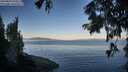 ./images/koeye/fitz-hugh/20250822/fitz-hugh20250822_074510M.jpg