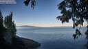./images/koeye/fitz-hugh/20250822/fitz-hugh20250822_075510M.jpg