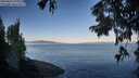 ./images/koeye/fitz-hugh/20250822/fitz-hugh20250822_080012M.jpg