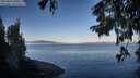 ./images/koeye/fitz-hugh/20250822/fitz-hugh20250822_080510M.jpg