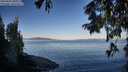 ./images/koeye/fitz-hugh/20250822/fitz-hugh20250822_081010M.jpg
