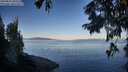 ./images/koeye/fitz-hugh/20250822/fitz-hugh20250822_081511M.jpg