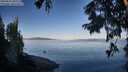 ./images/koeye/fitz-hugh/20250822/fitz-hugh20250822_082010M.jpg